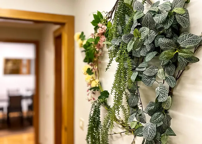 Barbon 18 Urban By Vigovacaciones * ויגו